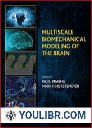 Multiscale Biomechanical Modeling of the Brain - BOOKS - SCIENCE AND STUDY