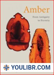 Amber From Antiquity to Eternity - BOOKS - HISTORY